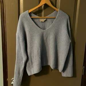 Light Blue Everlane cashmere sweater
